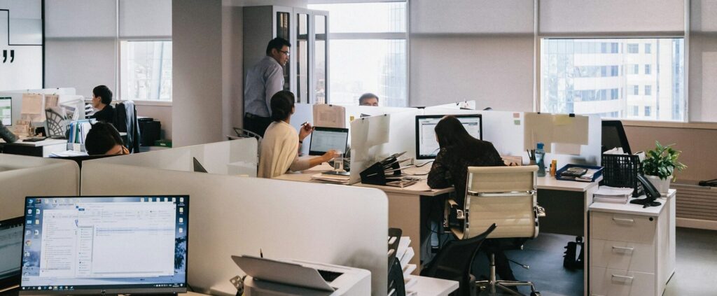 organisatiestructuur model